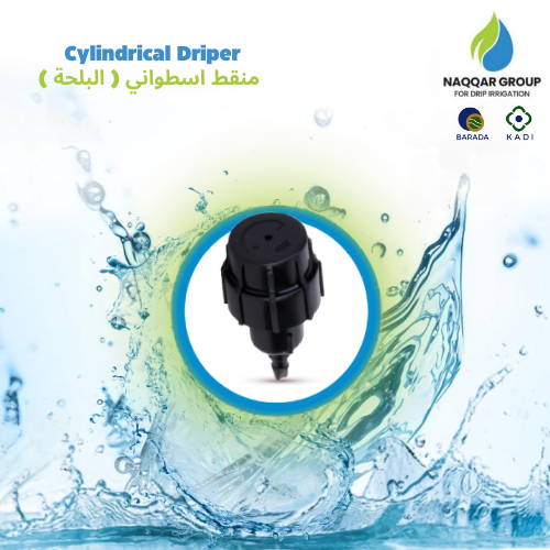 منقط الأسطواني ( البلحة)